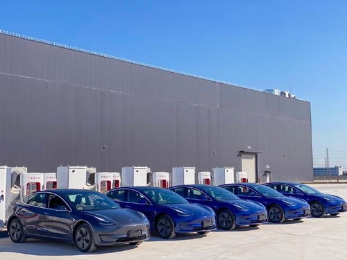 讓蔚來(lái)們冒汗的還在后頭 研報(bào)稱國(guó)產(chǎn)特斯拉還有30 降價(jià)空間